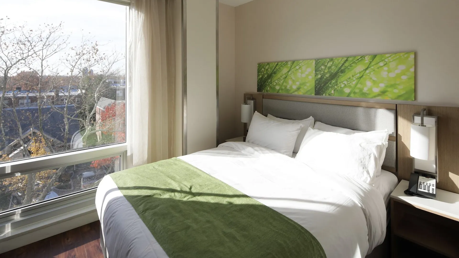 Wyndham Garden Fresh Meadows Flushing Hotel New York