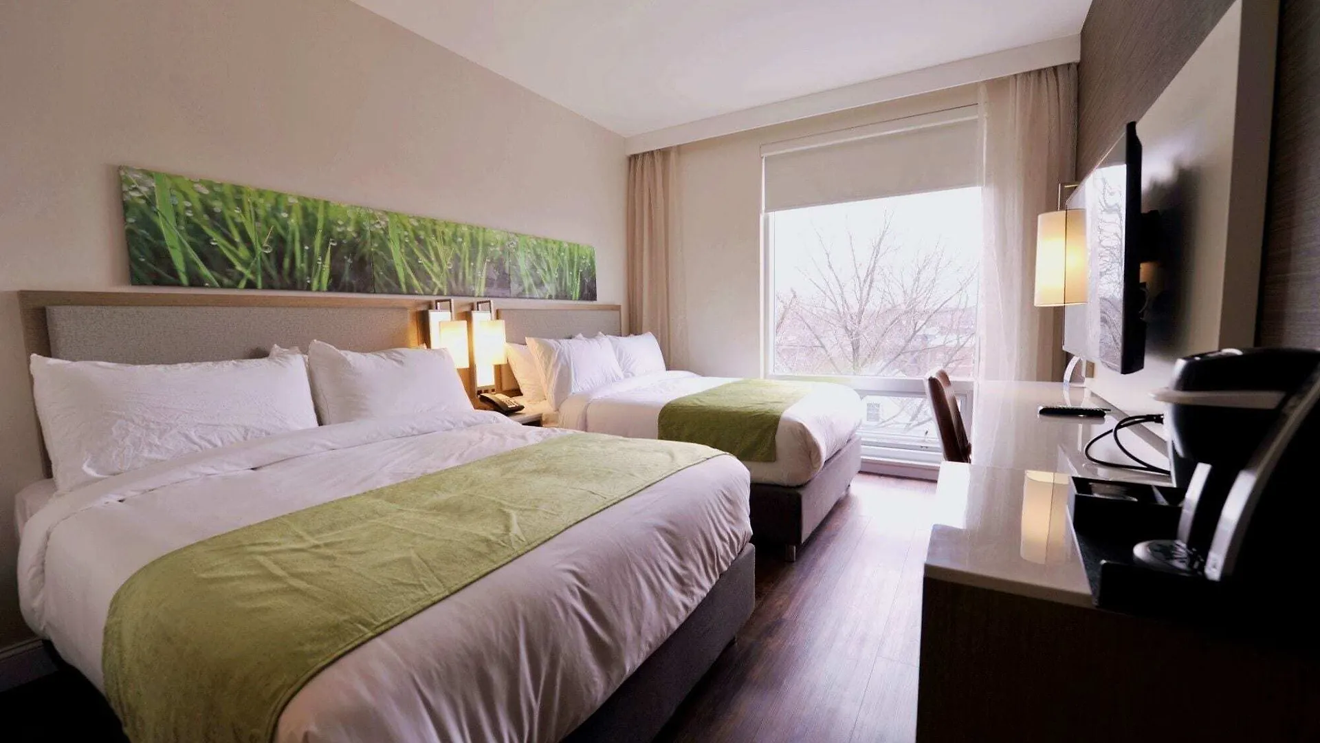 Wyndham Garden Fresh Meadows Flushing Hotel New York